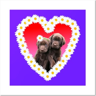 Chocolate Lab Puppies Flower Daisy Heart Posters and Art